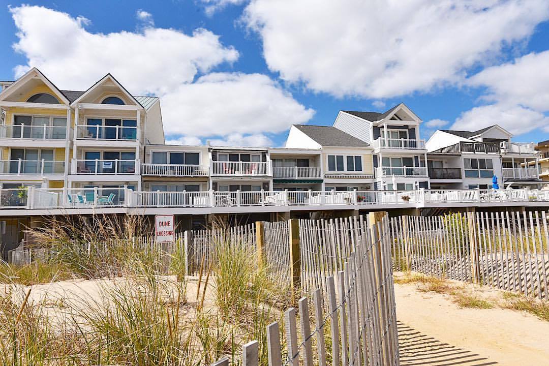 dune house ocean city md